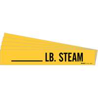 Marqueurs de tuyau LB. Steam, Autocollant, 2-1/4" h x 2-3/4" la, Noir sur jaune Fastek