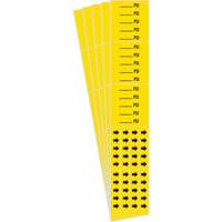 Marqueurs de tuyau PSI, Autocollant, 2-1/4" h x 2-3/4" la, Noir sur jaune Fastek