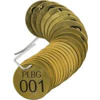 Numbered "PLPG" Valve Tags, # 001-025, Brass, 1.5" dia Fastek