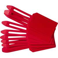 Blank Plastic Lock-On Tags, Plastic, 3-1/4" W x 5-4/5" H, Blank Fastek