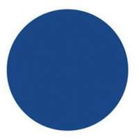 Round Write-On Labels, Circle, 3" L x 3" W, Blue SY695 | Fastek