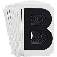 Quick-Align<sup>®</sup> Individual Gothic Number and Letter Labels, B, 4" H, Black SZ990 | Fastek