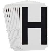Quick-Align<sup>®</sup>Individual Gothic Number and Letter Labels, H, 4" H, Black SZ996 | Fastek