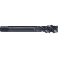 Taraud &agrave; cannelure en spirale 45°, Acier rapide au cobalt, Filet de 6-32, 2" l Fastek