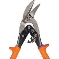 Compound Action Snips Fastek