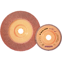 Enduro-Flex Stainless Flap Disc, 4-1/2" x 7/8", Type 27, 40 Grit, Zirconia Alumina Fastek