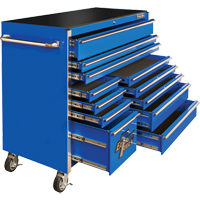 RX Series Rolling Tool Cabinet, 12 Drawers, 55" W x 25" D x 46" H, Blue TEQ501 | Fastek