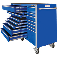 RX Series Rolling Tool Cabinet, 19 Drawers, 72" W x 25" D x 47" H, Blue TEQ506 | Fastek