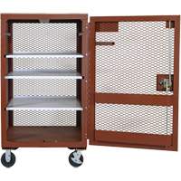 Mobile Mesh Cabinet, Steel, 22 Cubic Feet, Red Fastek