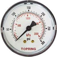 Replacement Pressure Gauge, 2" , 0 - 175 psi, Back Mount, Analogue Fastek