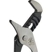 Pinces multiprise, 10" Fastek