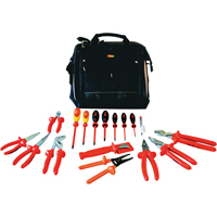 Deluxe PMMI Insulated Tool Kits, 18 Pcs TLZ729 | Fastek