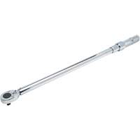 Ratcheting Head Micrometer Torque Wrench, Click, 1/2" Square Drive, 50 - 250 lbf. Ft Fastek
