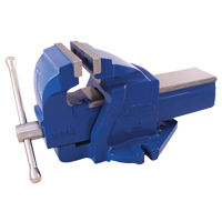 Ductile Iron Mechanics Bench Vise, 4" Jaw Width, 2" Throat Depth Fastek