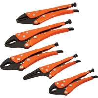 Straight Curved & Long Nose Locking Pliers Set, 5 Pieces Fastek