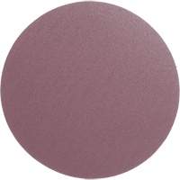 PSA Cloth Disc 348D, 12" Dia., 60 Grit, Aluminum Oxide, X-Weight Fastek