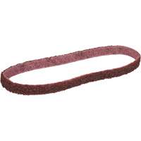 Scotch-Brite Surface Conditioning Belt Fastek