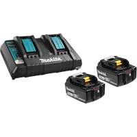 Li-Ion Battery & Dual-Port Charger Kit, 18 V, Lithium-Ion Fastek