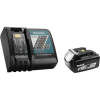 Rapid Battery Charger Kit, 18 V, Lithium-Ion Fastek
