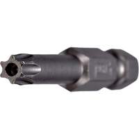 Tamper Power Bit Fastek