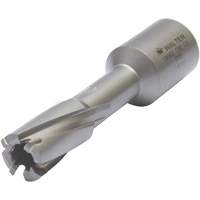 Core Cut Annular Cutter with Weldon Shank, 12 mm Diameter, Carbide, 30 mm Depth of Cut, 3/4" Shank Fastek