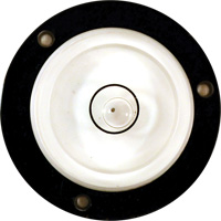 Niveau Bull's-Eye Fastek