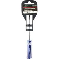 Tournevis &agrave; fente bleu transparent avec bandes , Tige de 1/8", Ronde, Prise en Plastique Fastek