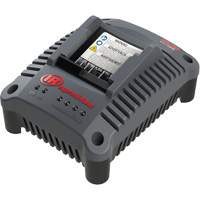 IQV20 Compact Battery Charger, 20 V, Lithium-Ion Fastek
