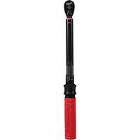 Torque Wrench, Click, 3/8" Square Drive, 20 - 100 in-lbs/27.1 - 135.6 N.m Fastek