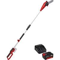 Cordless Pole Chain Saw with 4Ah Battery & Charger Starter Kit Fastek