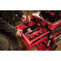 Divider for PACKOUT Drawer Tool Boxes Fastek