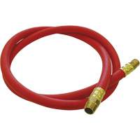 Tuyau de raccordement pour d&eacute;vidoir de tuyau, Air, Caoutchouc EDPM, 1/2" dia. x 5', 300 psi, 1/2 NPT Fastek
