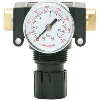 D&eacute;tendeur &agrave; piston en ac&eacute;tal MODULAIR 200, 1/4" NPT, PSI max. de 150 psi, Canalisation/Modulaire Fastek