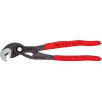 Pince Raptor, 10" Fastek