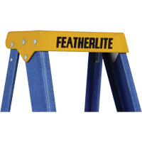 Industrial Duty Stepladders (6300 Series), 4', Fibreglass, 250 lbs. Capacity, Type 1 Fastek