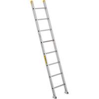 Industrial Heavy-Duty Extension/Straight Ladders, 10', Aluminum, 300 lbs., CSA Grade 1A VC274 | Fastek