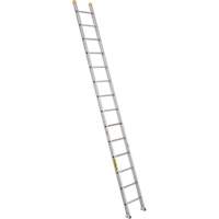 Industrial Heavy-Duty Extension/Straight Ladders, 14', Aluminum, 300 lbs., CSA Grade 1A VC276 | Fastek
