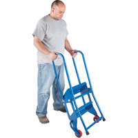 Portable Folding Ladder, 2 Steps, Perforated, 20" High Fastek