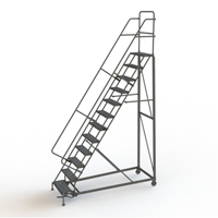 Heavy Duty Rolling Ladder, 12 Steps, 24" Step Width, 120" Platform Height, Steel Fastek