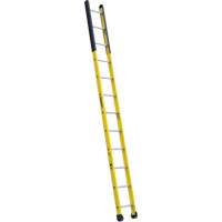 Single Manhole Ladder, 12', Fibreglass, 375 lbs., CSA Grade 1AA VD466 | Fastek