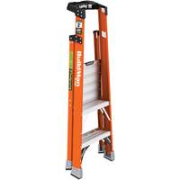 Safespace Platform Step Ladder, 2', 300 lbs. Cap. Fastek