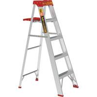 Step Ladder with Paint Tray, 5', Aluminum, 200 lbs. Capacity, Type 3 Fastek