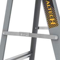Step Ladder with Paint Tray, 6', Fibreglass, 225 lbs. Capacity, Type 2 Fastek