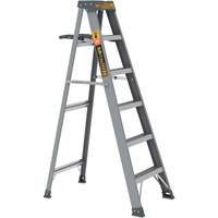 Step Ladder with Paint Tray, 6', Fibreglass, 225 lbs. Capacity, Type 2 Fastek