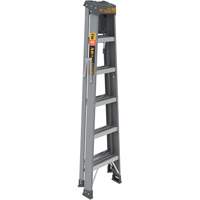 Step Ladder with Paint Tray, 6', Fibreglass, 225 lbs. Capacity, Type 2 Fastek