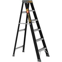 Step Ladder, 6', Fibreglass, 250 lbs. Capacity, Type 1 Fastek