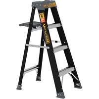 Step Ladder with Paint Tray, 4', Fibreglass, 250 lbs. Capacity, Type 1 Fastek