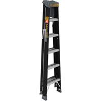 Step Ladder with Paint Tray, 6', Fibreglass, 250 lbs. Capacity, Type 1 Fastek