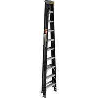 Step Ladder with Paint Tray, 10', Fibreglass, 250 lbs. Capacity, Type 1 Fastek