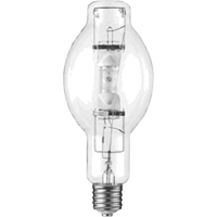 Replacement Bulbs XC454 | Fastek